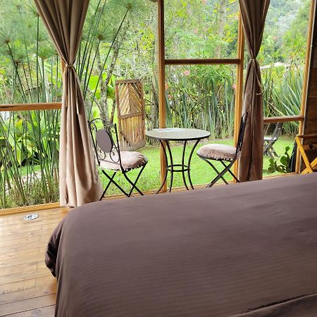 Exclusivo Cocora Con Jacuzzi Salento Quindio Βίλα Εξωτερικό φωτογραφία