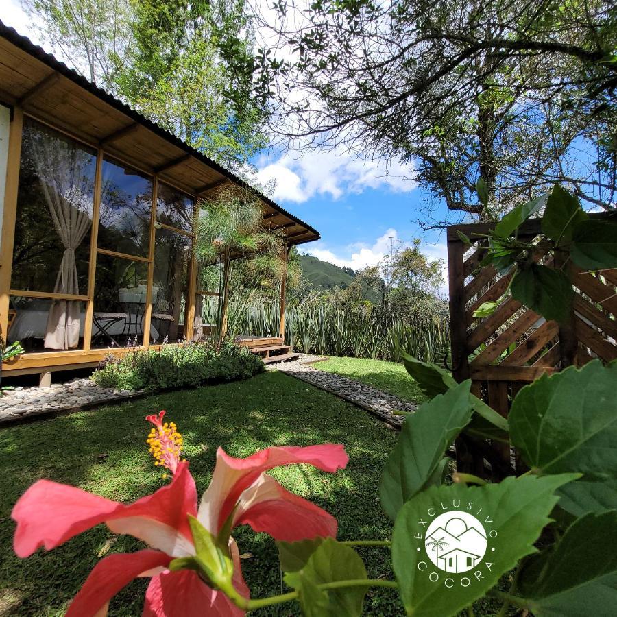 Exclusivo Cocora Con Jacuzzi Salento Quindio Βίλα Εξωτερικό φωτογραφία