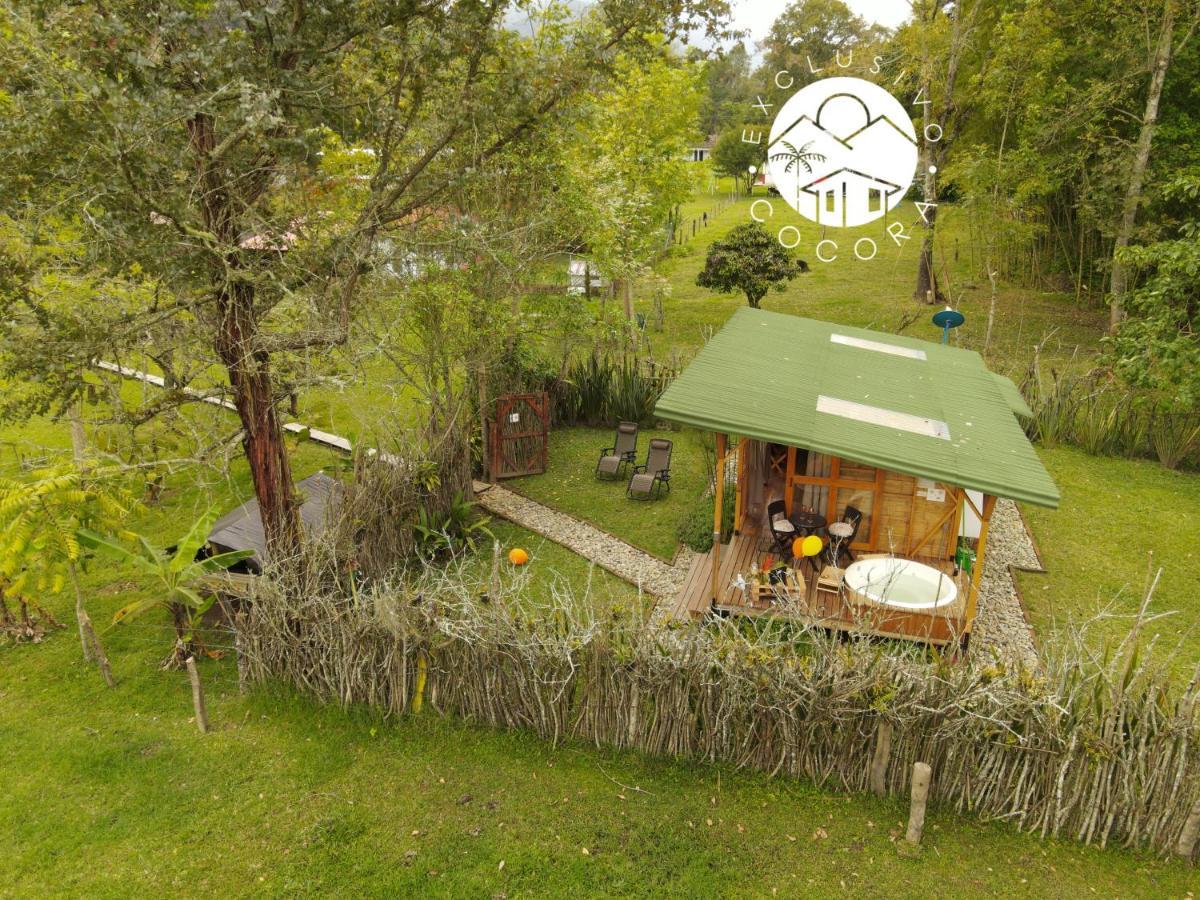 Exclusivo Cocora Con Jacuzzi Salento Quindio Βίλα Εξωτερικό φωτογραφία