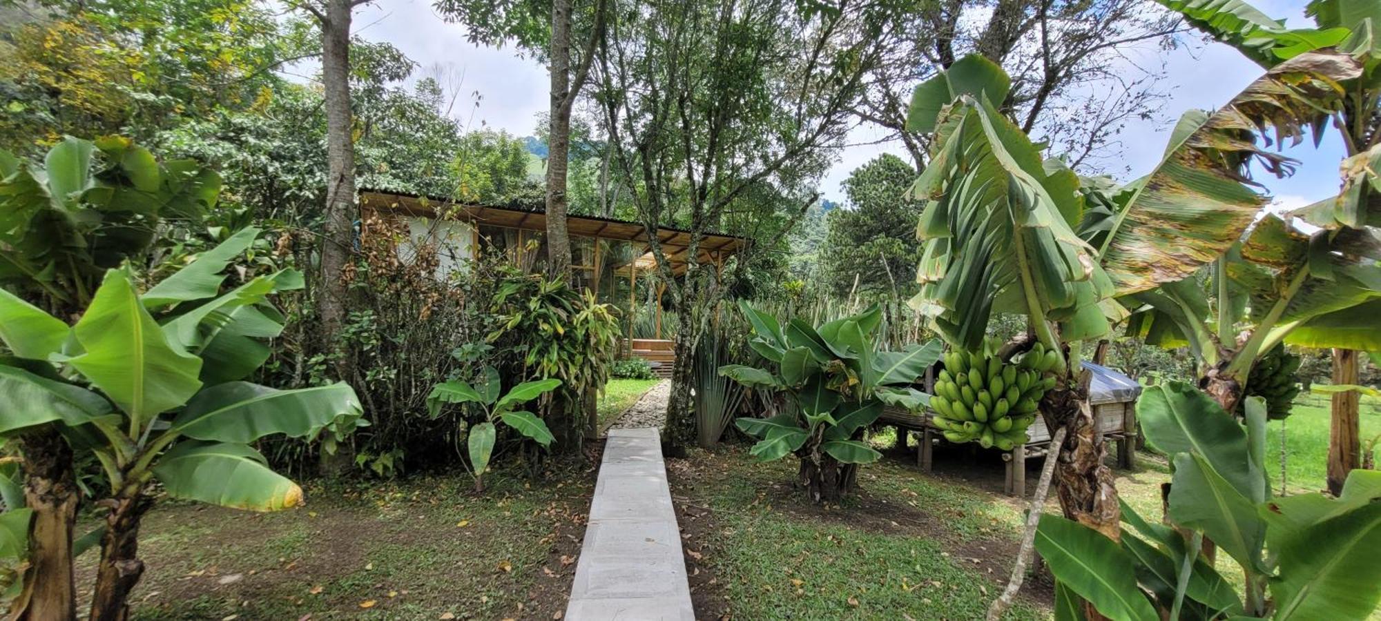 Exclusivo Cocora Con Jacuzzi Salento Quindio Βίλα Εξωτερικό φωτογραφία