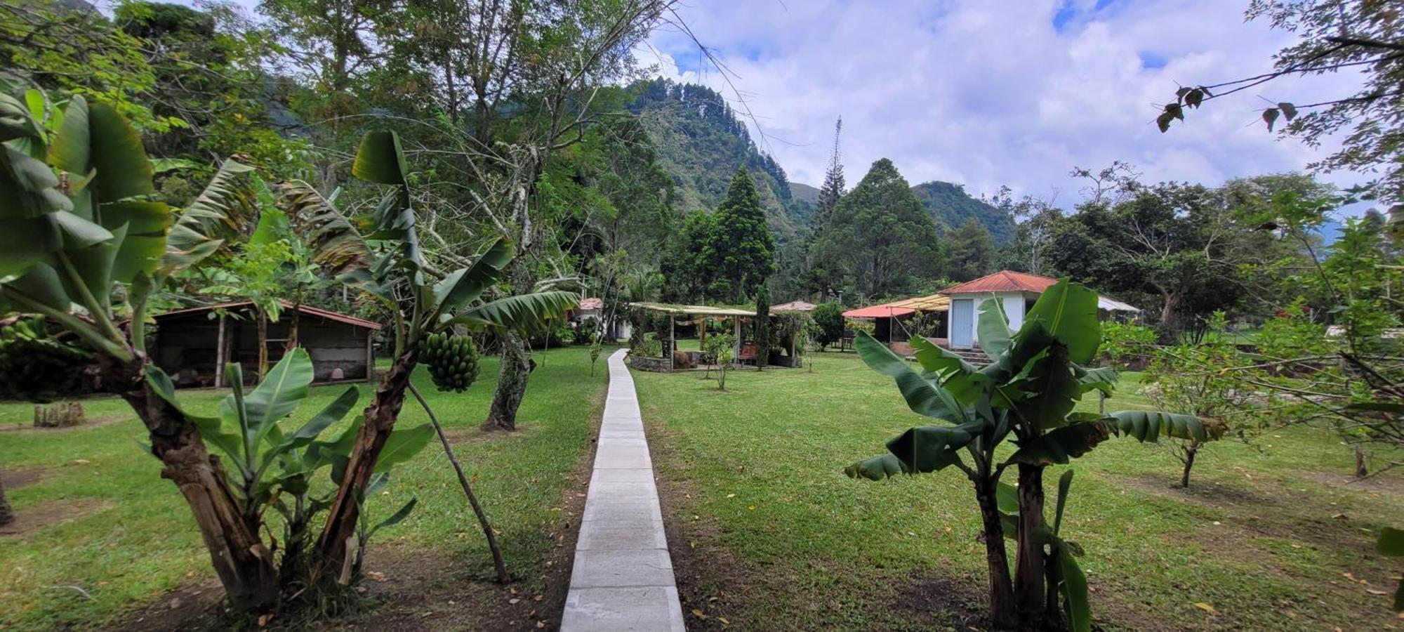 Exclusivo Cocora Con Jacuzzi Salento Quindio Βίλα Εξωτερικό φωτογραφία