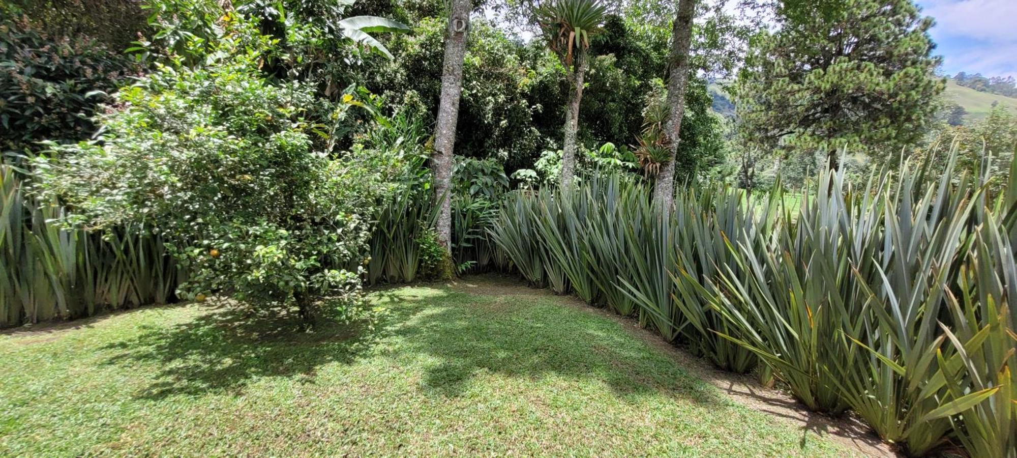 Exclusivo Cocora Con Jacuzzi Salento Quindio Βίλα Εξωτερικό φωτογραφία